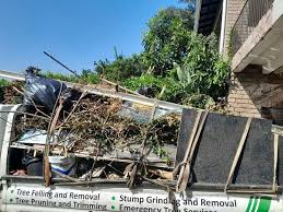 Best Recycling Services for Junk  in Cheree, OK